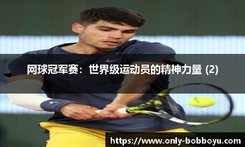 boyu博鱼体育